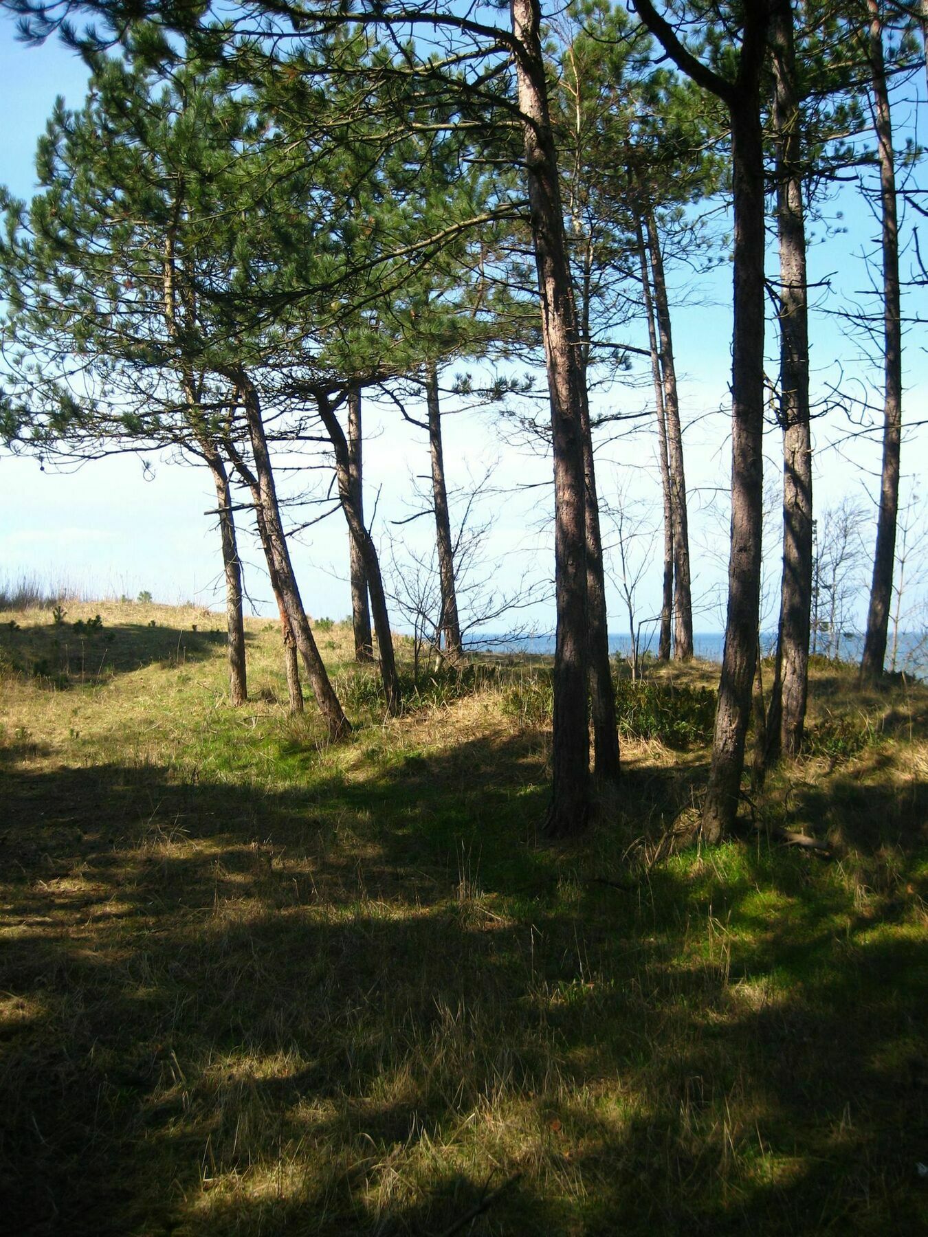 Pelikan Resort Dzwirzyno - Domki Przy Plazy Exterior foto